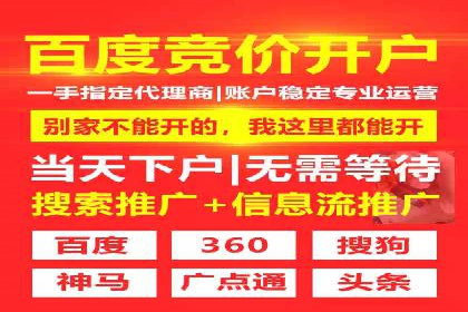 解析百度搜索推广的广告投放策略及效果
